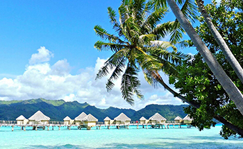 Great Offer From Abed Air Travels & Tours